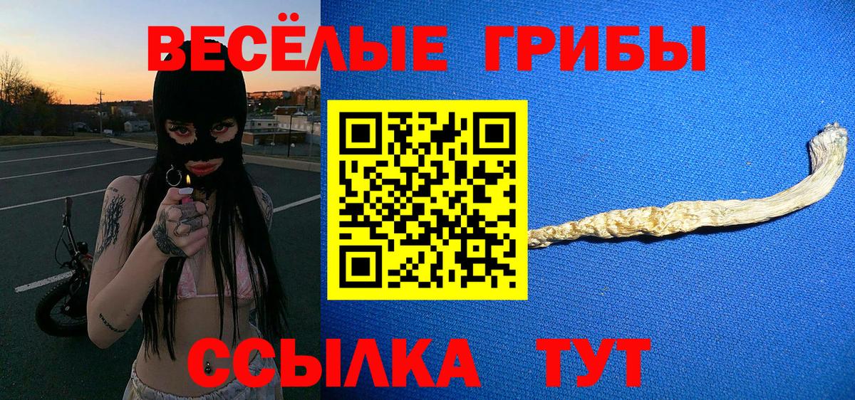 Галлюциногенные грибы мухоморы Саянск